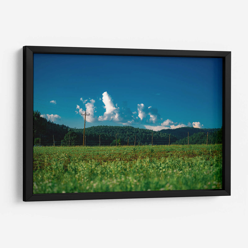 Bosque y nubes - Enrique Estrada | Cuadro decorativo de Canvas Lab