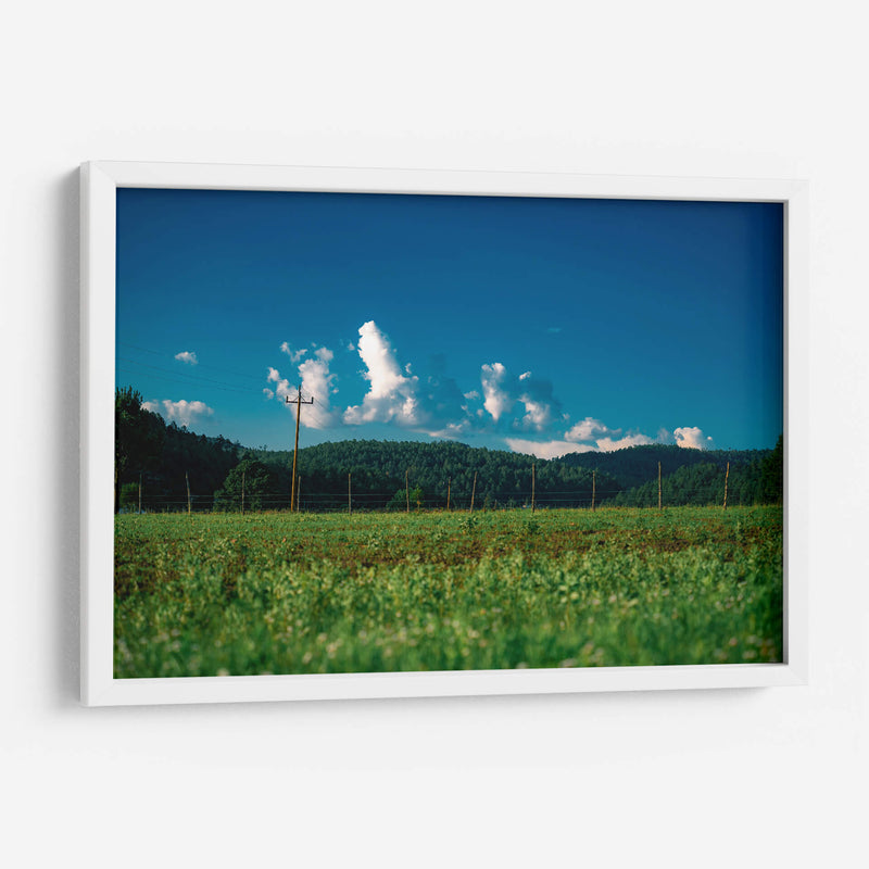 Bosque y nubes - Enrique Estrada | Cuadro decorativo de Canvas Lab