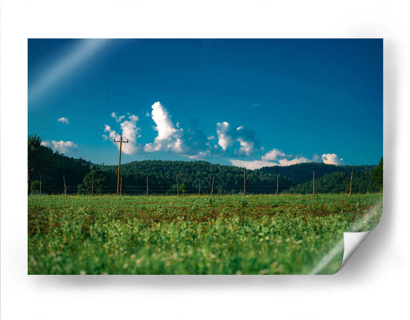 Bosque y nubes - Enrique Estrada | Cuadro decorativo de Canvas Lab