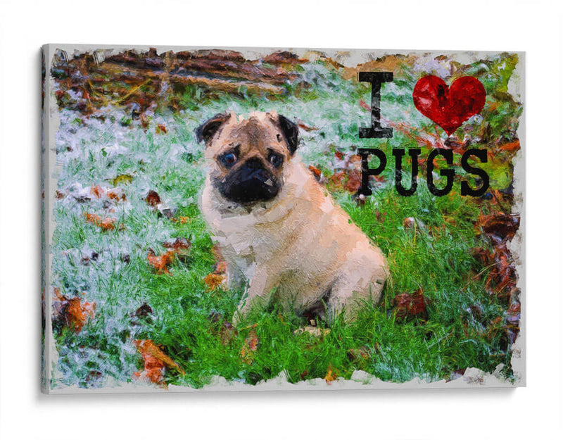 I Love Pugs - v3n3n0 | Cuadro decorativo de Canvas Lab