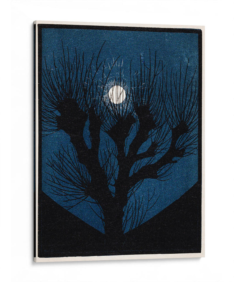 Luz de la luna - Julie de Graag | Cuadro decorativo de Canvas Lab
