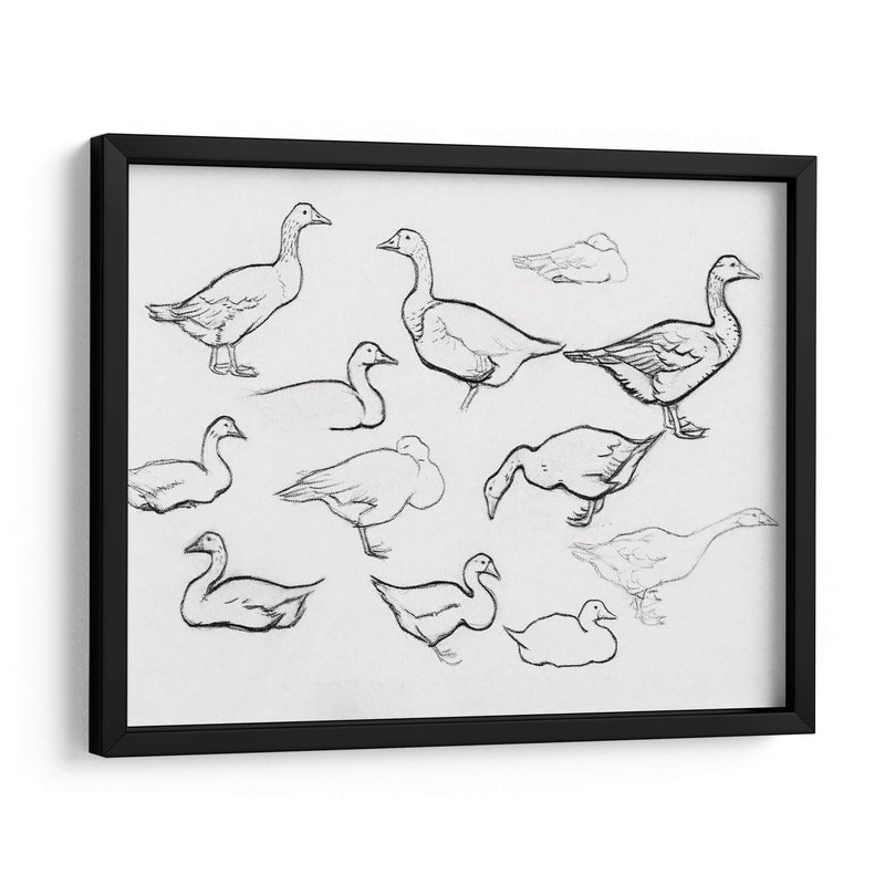 Bosquejo estudio de gansos - Julie de Graag | Cuadro decorativo de Canvas Lab