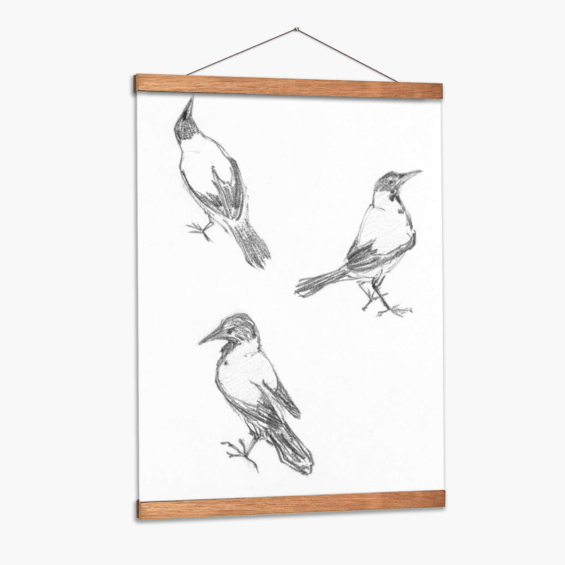 Tres bocetos de un cuervo - Julie de Graag | Cuadro decorativo de Canvas Lab