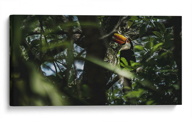 Habitante de Iguazú - Emmanuel Ramírez | Cuadro decorativo de Canvas Lab