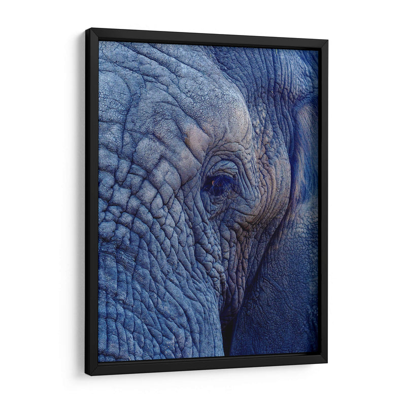 Detalle de elefante | Cuadro decorativo de Canvas Lab