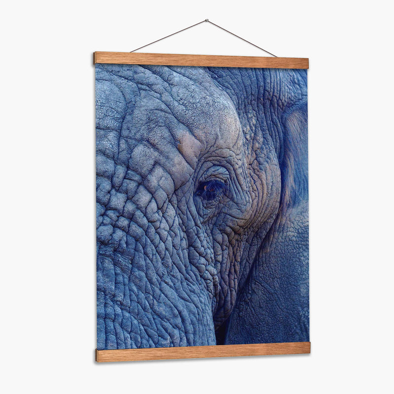 Detalle de elefante | Cuadro decorativo de Canvas Lab