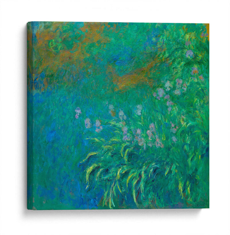 Irises - Claude O. Monet | Cuadro decorativo de Canvas Lab