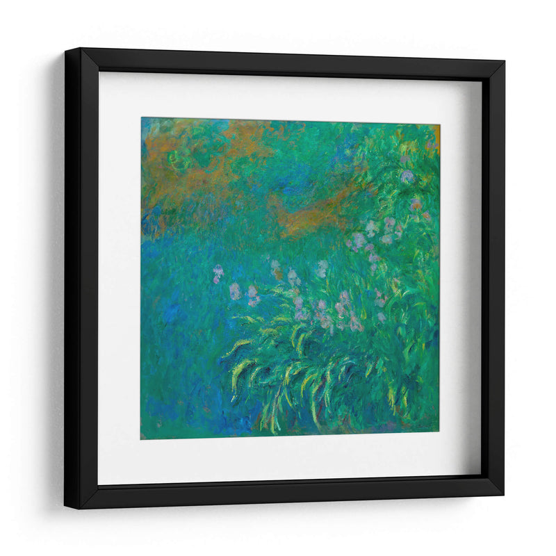 Irises - Claude O. Monet | Cuadro decorativo de Canvas Lab