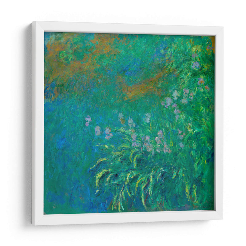 Irises - Claude O. Monet | Cuadro decorativo de Canvas Lab