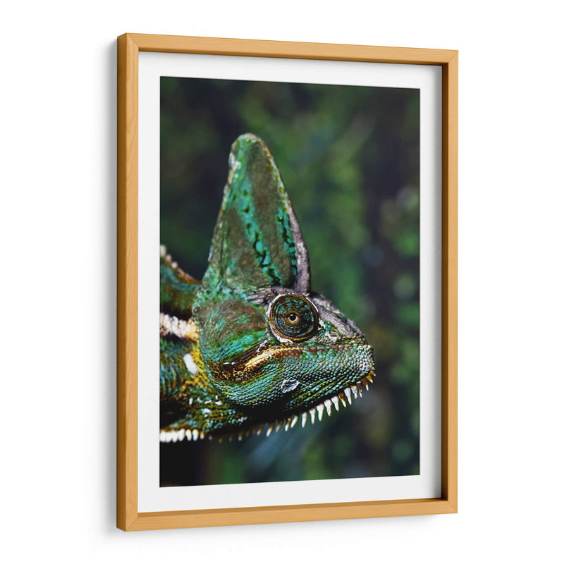 Camaleón verde | Cuadro decorativo de Canvas Lab