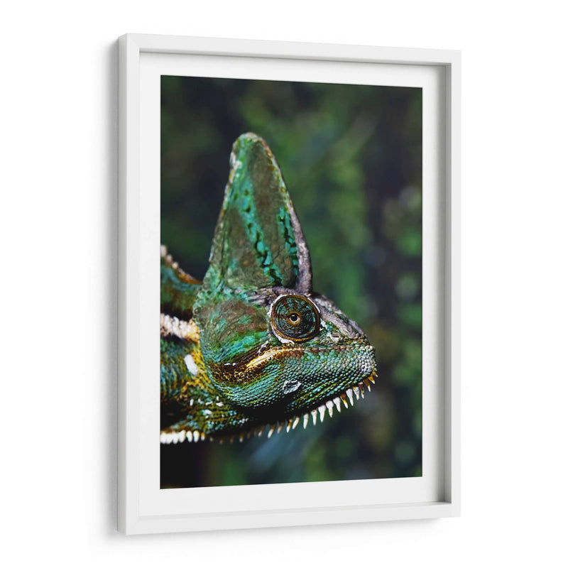 Camaleón verde | Cuadro decorativo de Canvas Lab