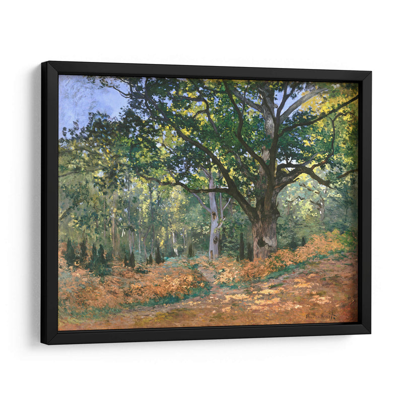 El roble de Bodmer, bosque de Fontainebleau - Claude Monet | Cuadro decorativo de Canvas Lab