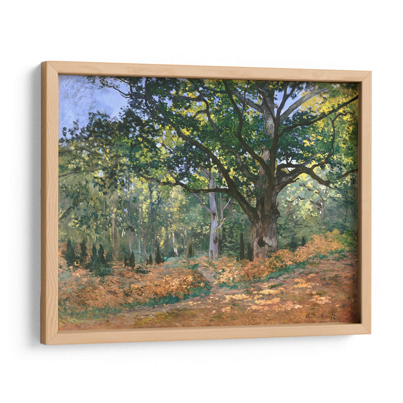 El roble de Bodmer, bosque de Fontainebleau - Claude Monet | Cuadro decorativo de Canvas Lab