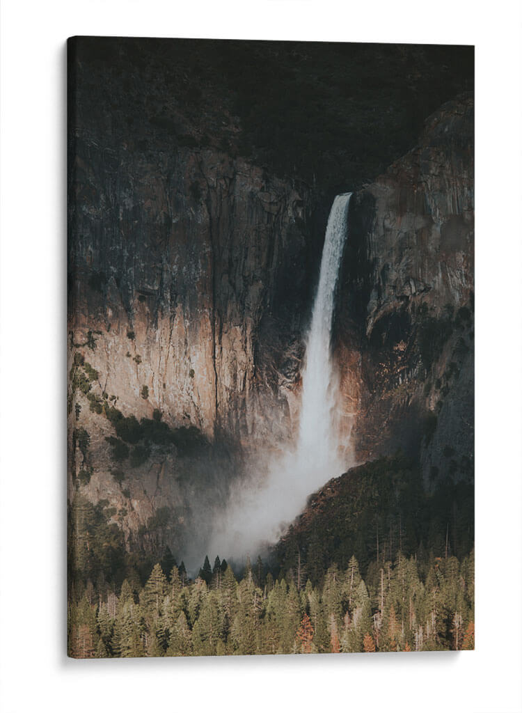 Cascada hacia los pinos | Cuadro decorativo de Canvas Lab