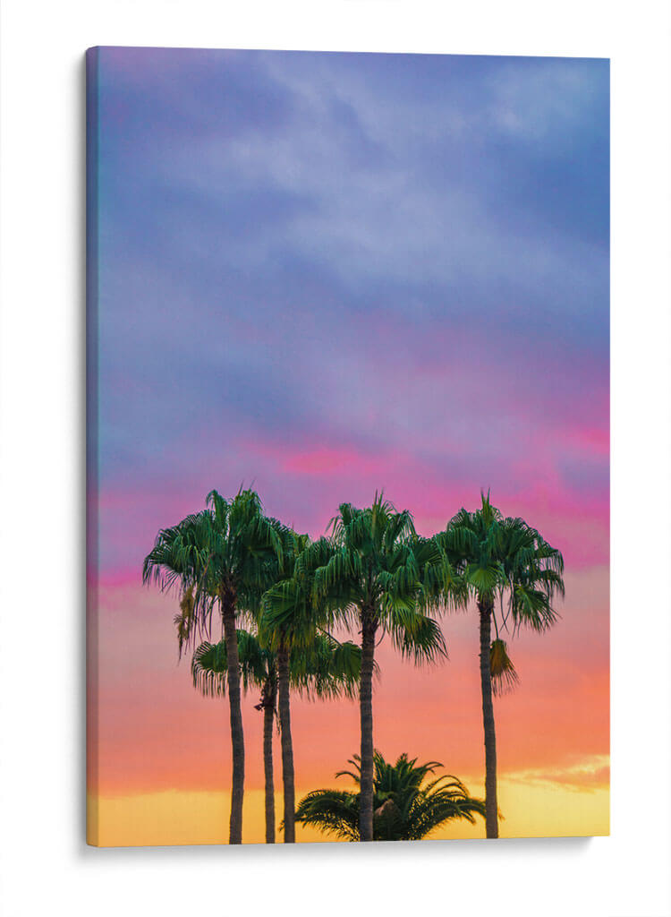 Cielo colorido y palmeras | Cuadro decorativo de Canvas Lab