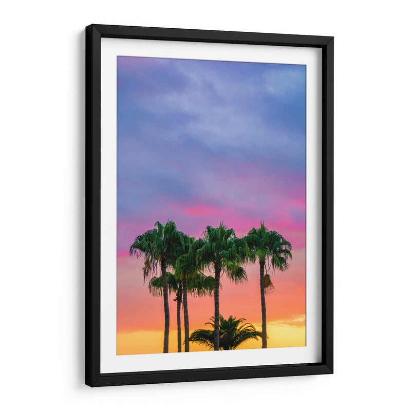 Cielo colorido y palmeras | Cuadro decorativo de Canvas Lab