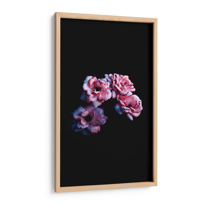 Cuatro flores | Cuadro decorativo de Canvas Lab