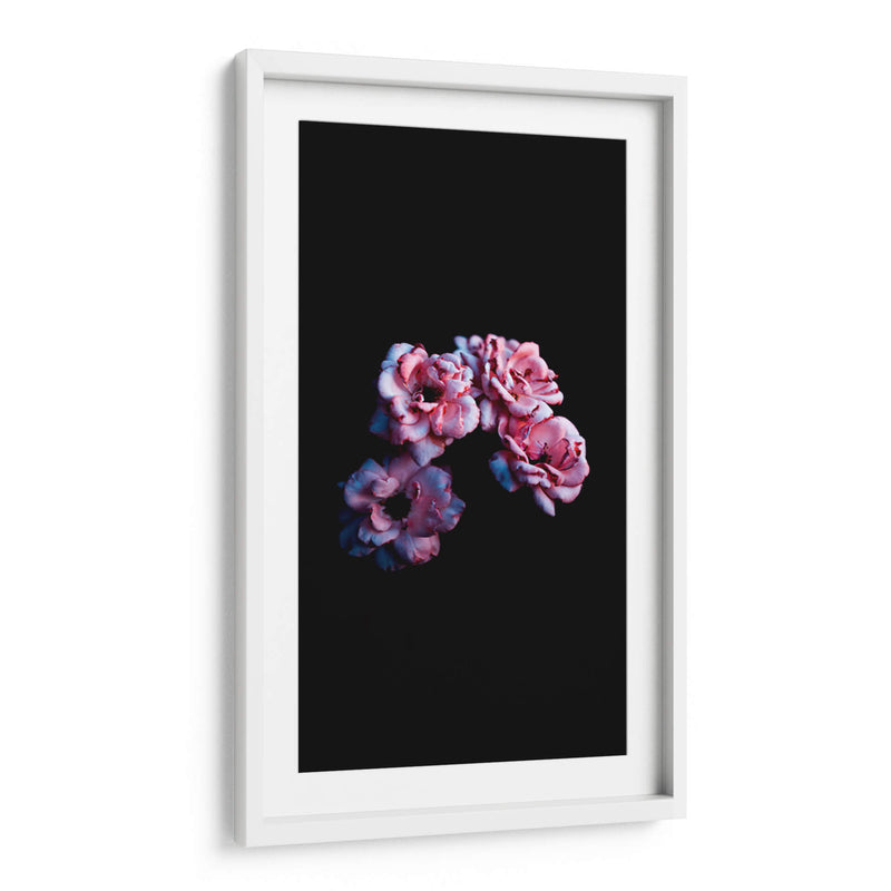 Cuatro flores | Cuadro decorativo de Canvas Lab