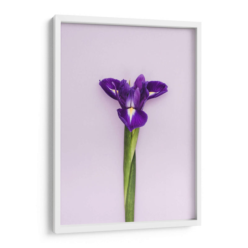 Detalle en lila | Cuadro decorativo de Canvas Lab