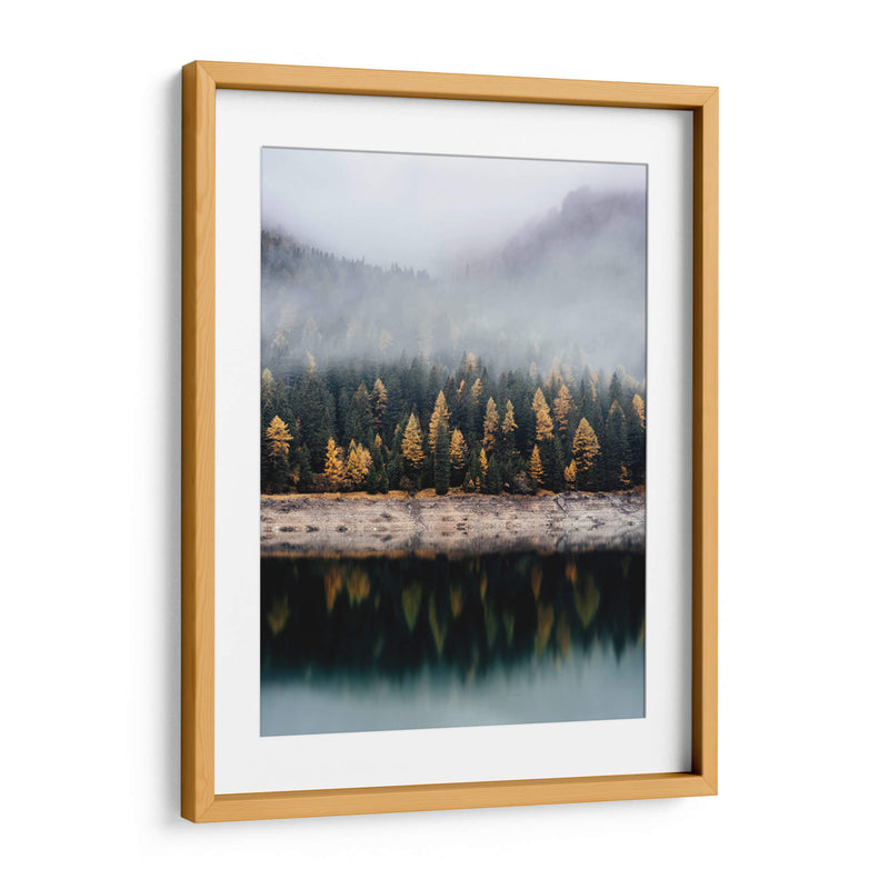 El reflejo de los pinos | Cuadro decorativo de Canvas Lab