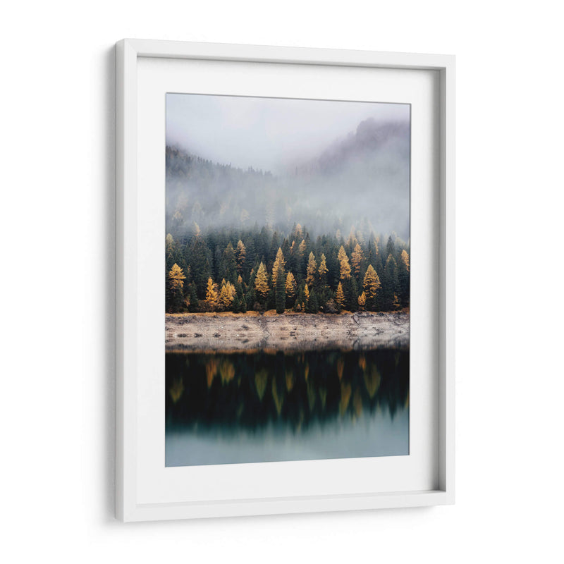 El reflejo de los pinos | Cuadro decorativo de Canvas Lab