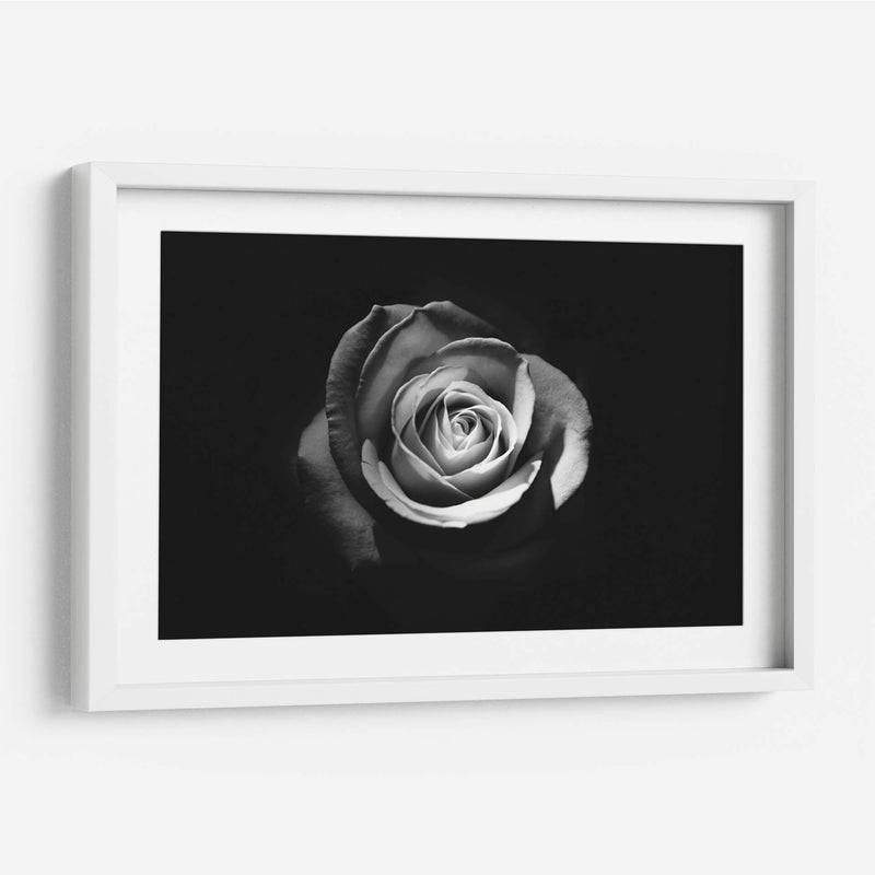 El significado de una rosa | Cuadro decorativo de Canvas Lab