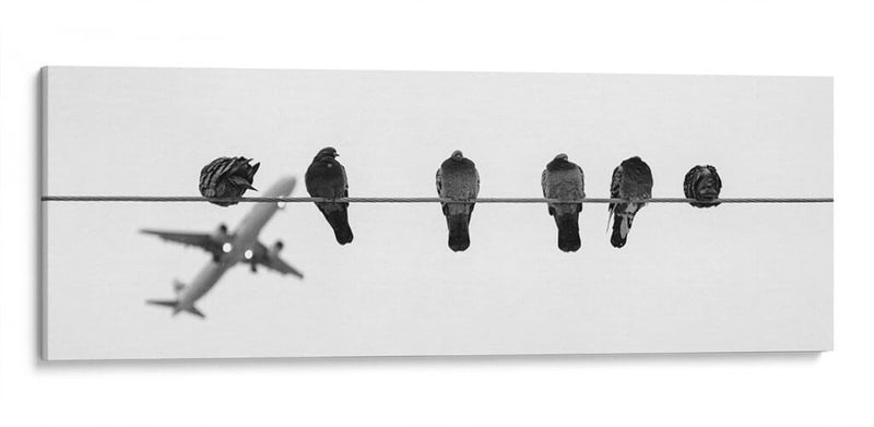 El vuelo y las palomas | Cuadro decorativo de Canvas Lab