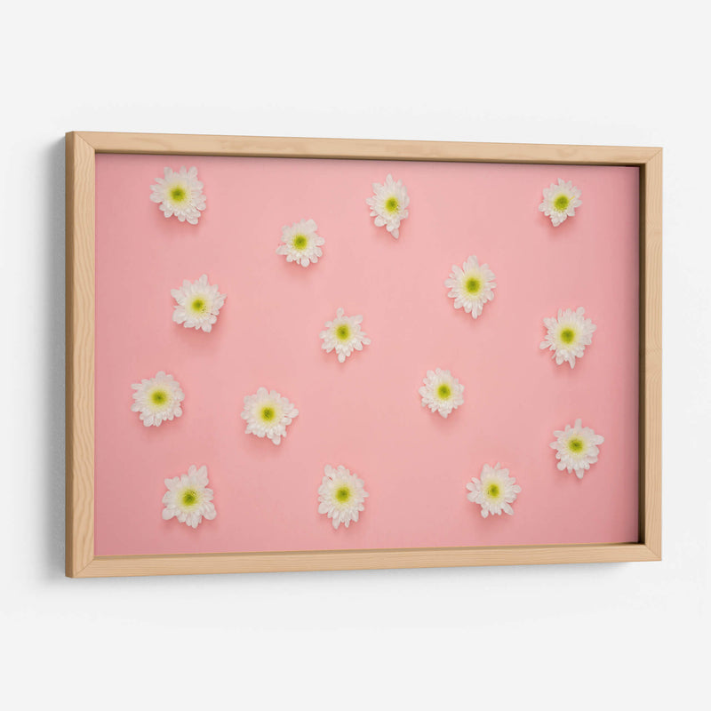 Florecitas sobre rosa | Cuadro decorativo de Canvas Lab