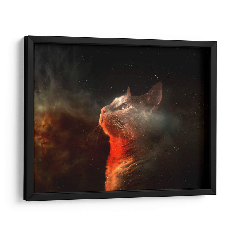 Gato universal | Cuadro decorativo de Canvas Lab