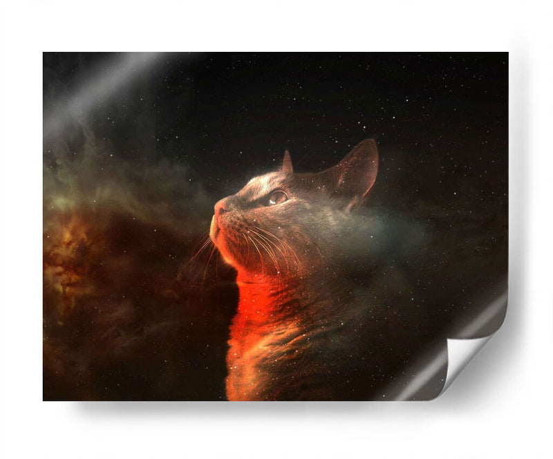 Gato universal | Cuadro decorativo de Canvas Lab
