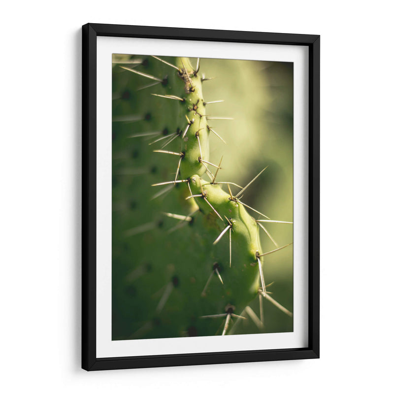 La defensa de un cactus | Cuadro decorativo de Canvas Lab