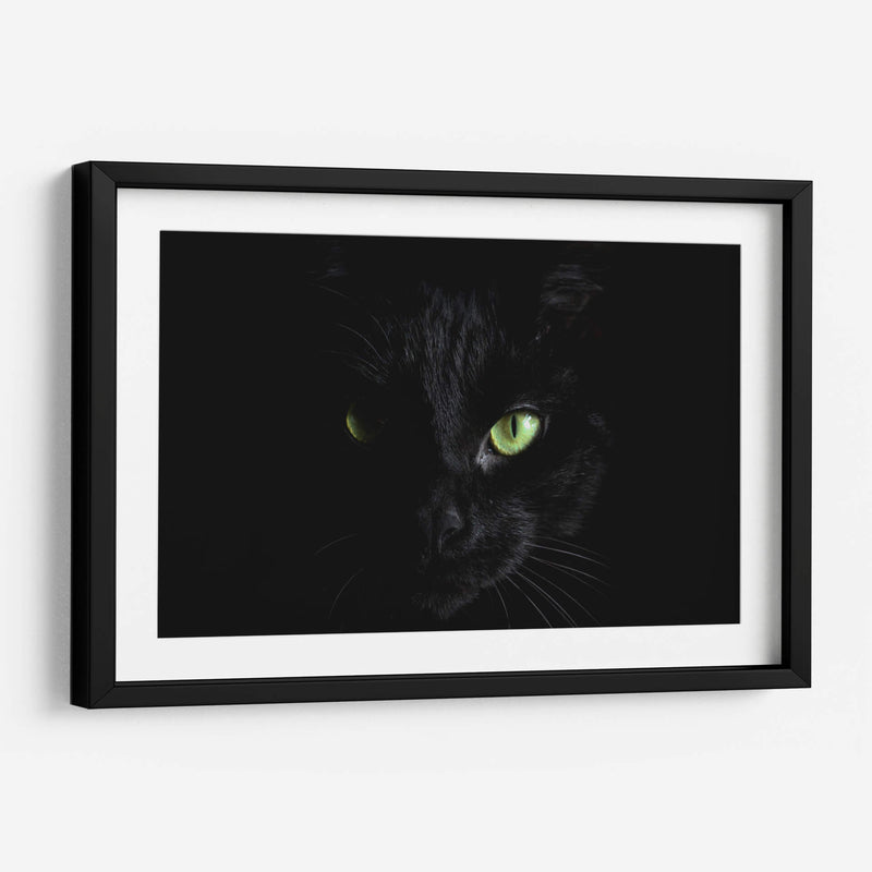 La mirada del gato | Cuadro decorativo de Canvas Lab