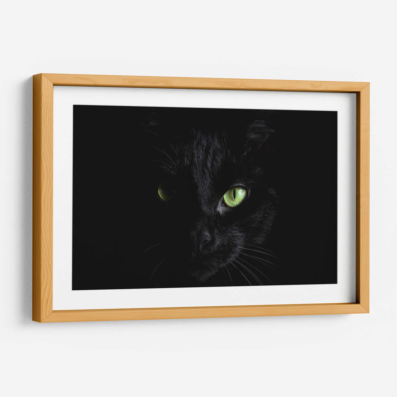 La mirada del gato | Cuadro decorativo de Canvas Lab