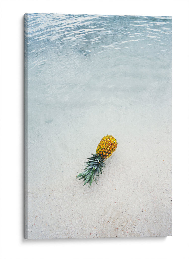 La piña que trajo el mar | Cuadro decorativo de Canvas Lab