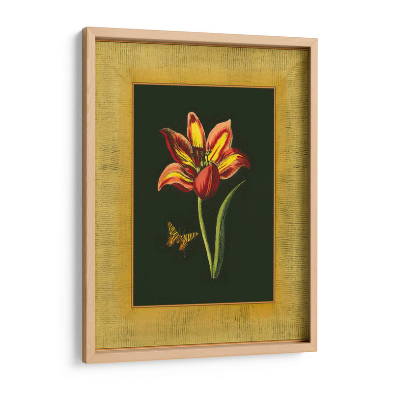Tulipán En La Trama I | Cuadro decorativo de Canvas Lab