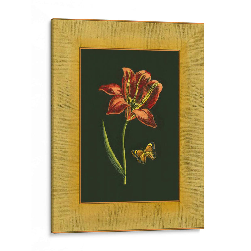 Tulipán En Zero II | Cuadro decorativo de Canvas Lab
