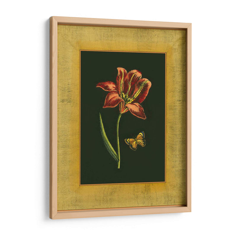Tulipán En Zero II | Cuadro decorativo de Canvas Lab