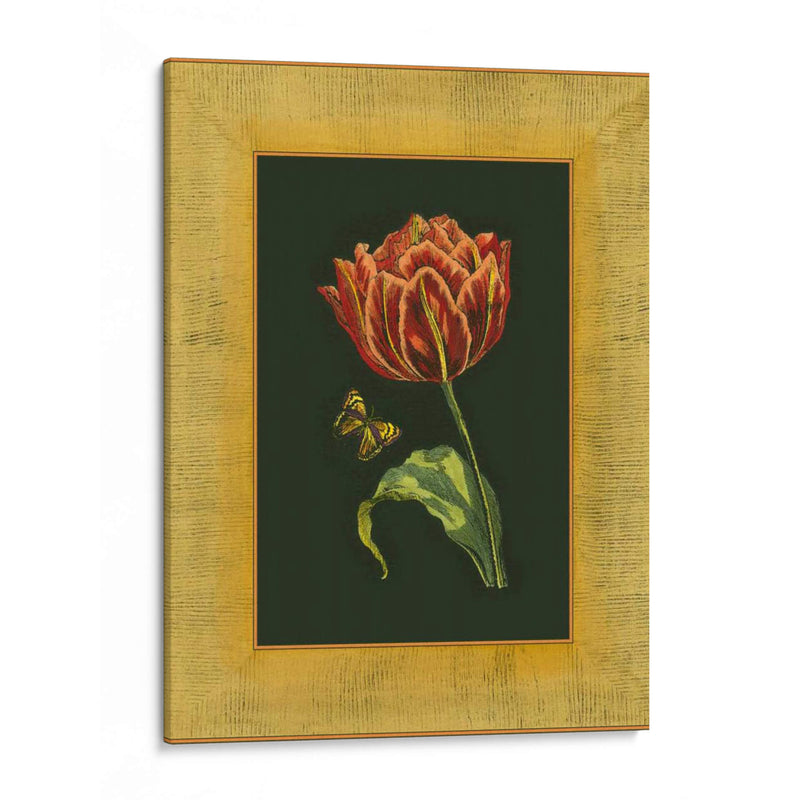 Tulipán En Frame III | Cuadro decorativo de Canvas Lab