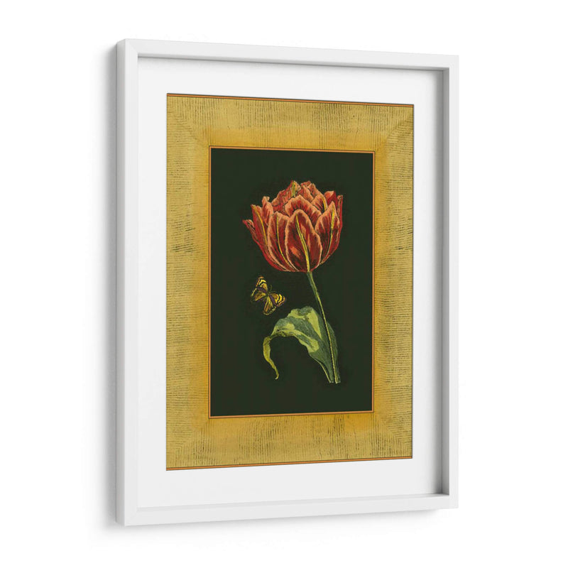 Tulipán En Frame III | Cuadro decorativo de Canvas Lab