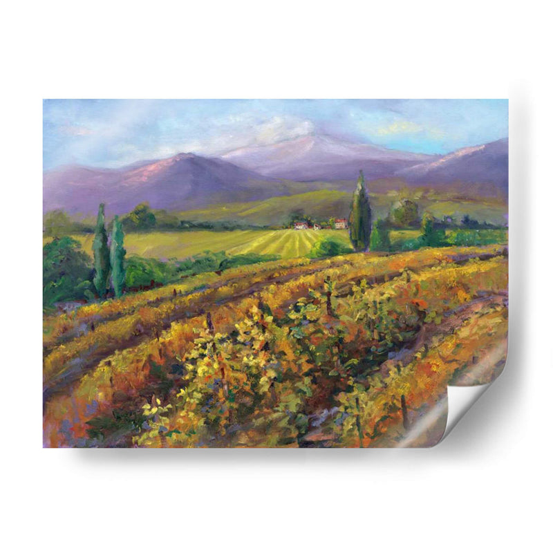 Vineyard Tapestry I - Nanette Oleson | Cuadro decorativo de Canvas Lab