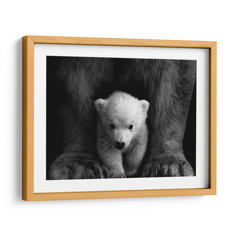 Los principios del oso polar | Cuadro decorativo de Canvas Lab