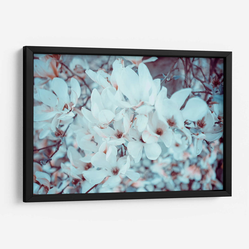Meditación de magnolias | Cuadro decorativo de Canvas Lab
