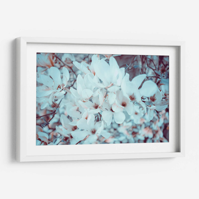 Meditación de magnolias | Cuadro decorativo de Canvas Lab