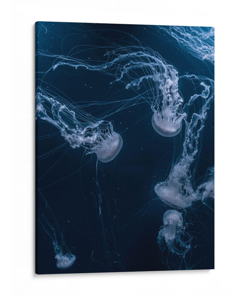 Medusas en lo azul | Cuadro decorativo de Canvas Lab