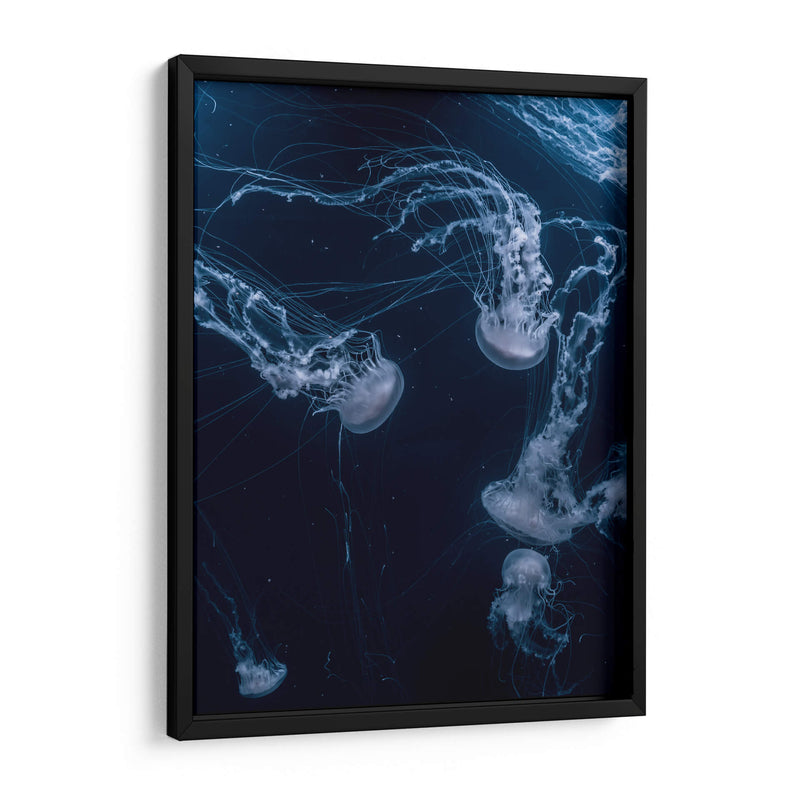 Medusas en lo azul | Cuadro decorativo de Canvas Lab