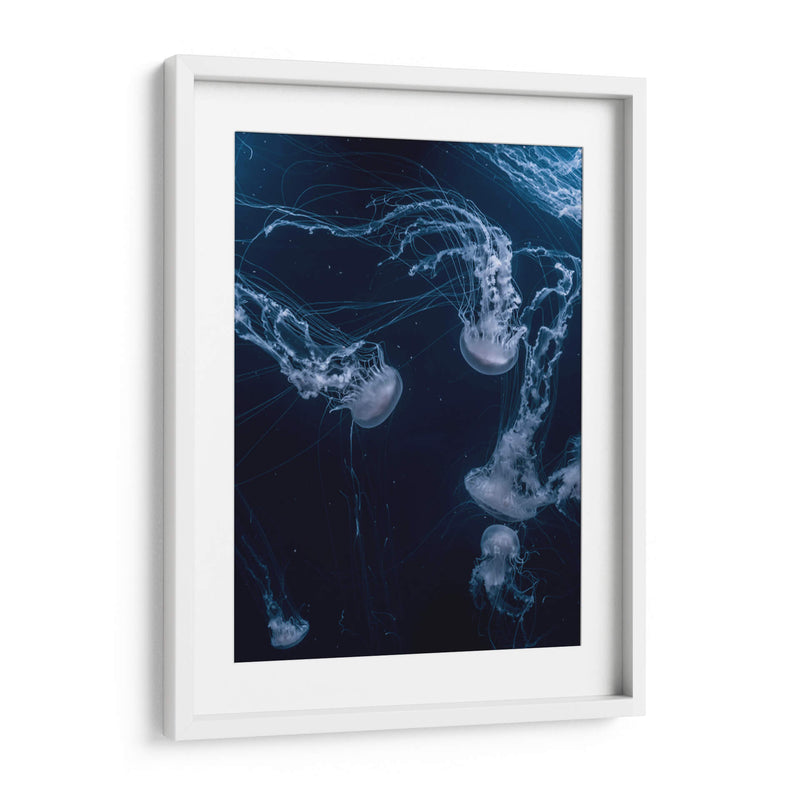 Medusas en lo azul | Cuadro decorativo de Canvas Lab