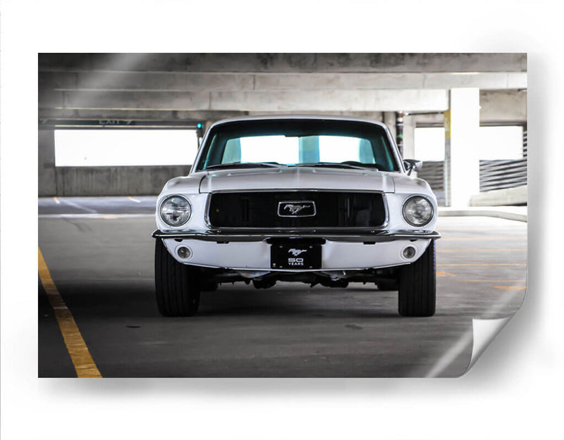 Mustang blanco vintage | Cuadro decorativo de Canvas Lab