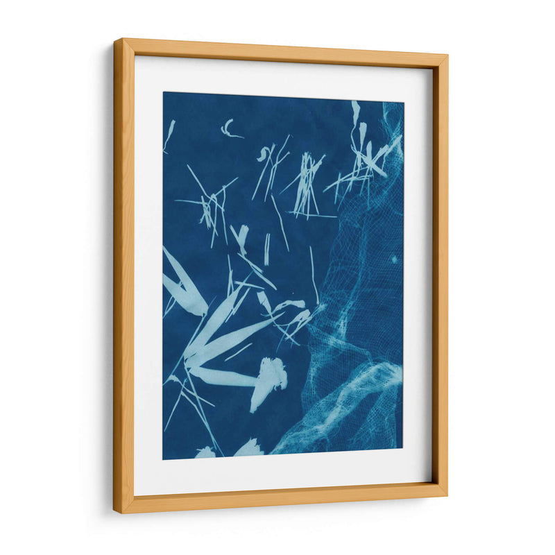 Cyanotype No.6 - Renee W. Stramel | Cuadro decorativo de Canvas Lab