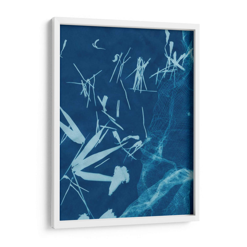 Cyanotype No.6 - Renee W. Stramel | Cuadro decorativo de Canvas Lab