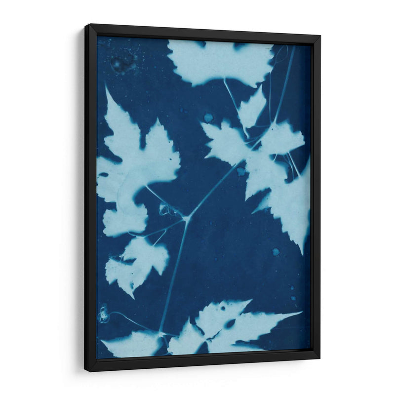 Cyanotype No.9 - Renee W. Stramel | Cuadro decorativo de Canvas Lab